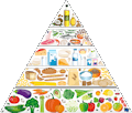Piramide Alimentare Favicon